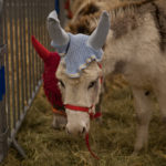 Ferme.Expo.2014.©James.Techer (3)