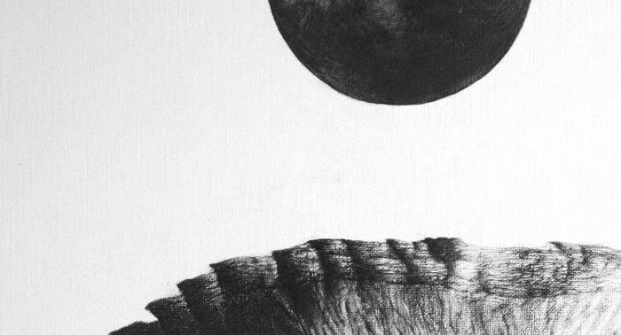 Mélissande Herdier : un phénomène à la galerie Élie Veyssière