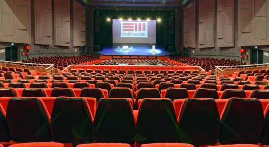 Espace Malraux
