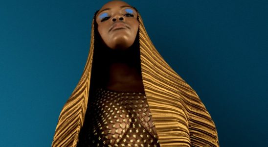 Pongo en concert au Festival Aucard de Tours