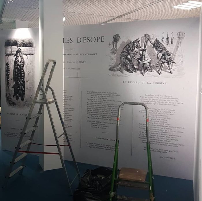 Un animal, des animots au Muséeum d'Histoire naturelle de Tours