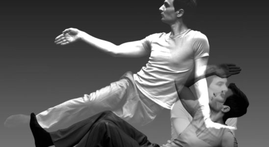 Tours d'horizons danse