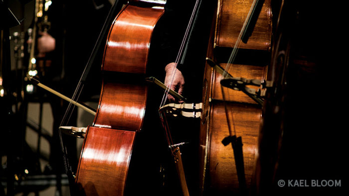 Festival de&nbsp;la&nbsp;Grange de&nbsp;Meslay En 2021, la musique passe les&nbsp;portes