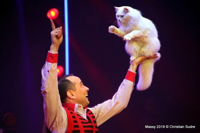 Festival du cirque en Val de Loire