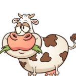 Ferme Expo a Tours