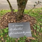 Mireille et ses ardoises (Photo France Bleu Touraine)