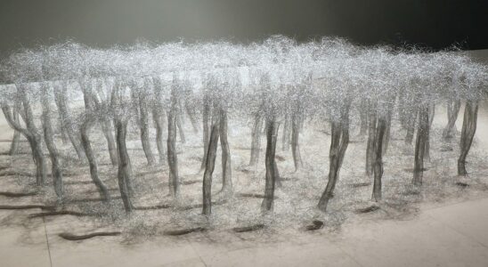 Ana Lima-Netto au Château de Tours