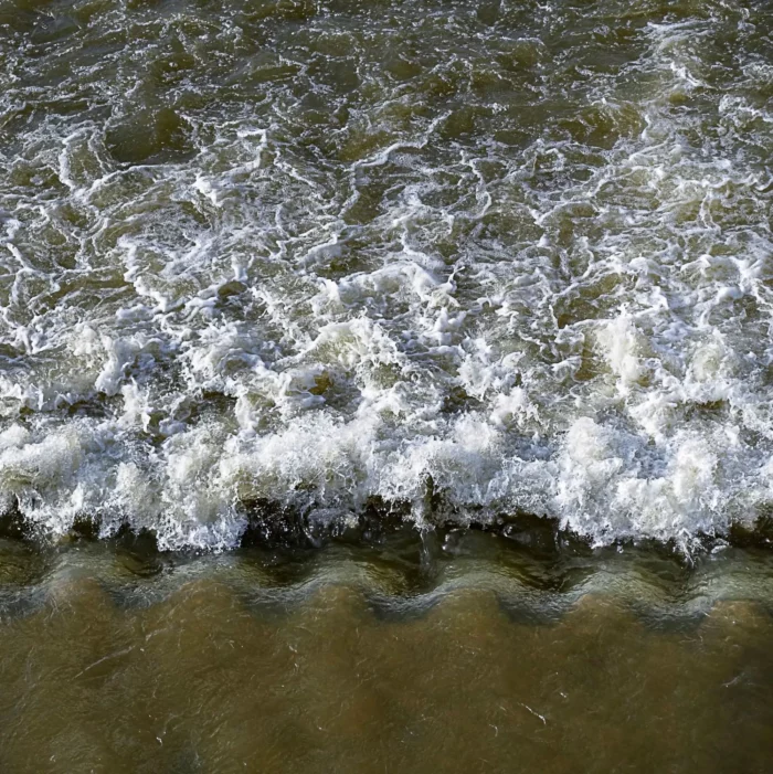 À&nbsp;la&nbsp;Maison de la Loire Sylvie Nau voit le bouillon