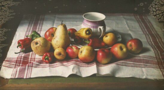 L'autochrome au Château de Tours. (Photo droits réservés)
