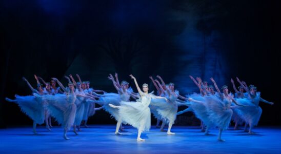 L'Ukrainian Ballet Theatre à Tours en janvier 2024.