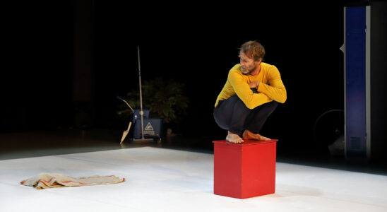 La seprillière de M. Mutt à l'Espace Malraux de Joué-lès-Tours (37). Photo Stéphane Bellocq